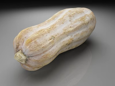 Single Light Yellow Striped Speckled Pumpkin On Gray Background With Natural Texture 3d model