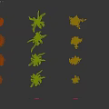 Small Garden Ornamental Design Featuring Sunflowers Corn Rapeseed Beets and Standing Person
