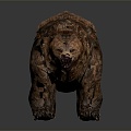 Modern Bear Big Bear Little Bear Black Bear Polar Bear 3d model