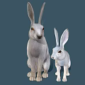 Two White Rabbits Adult and Baby with Soft Fur on Blue Background