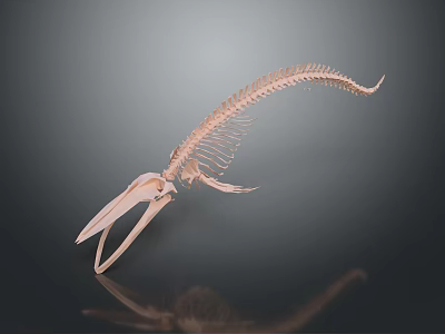 Light Pink Anatomical Fish Skeleton Model Medical Device With Dark Background Reflection 3d model