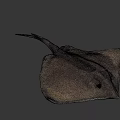 Stingray Swimming In Dark Underwater Environment With Flat Body And Long Tail
