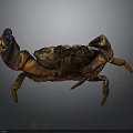 Realistic Rusty Brown Crab With Large Claws And Textured Shell On Gray Surface