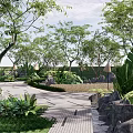 Sunlit Courtyard Garden with Lush Trees Green Plants Stone Path and Natural Rocks
