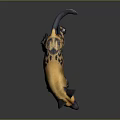 African Wild Dog With Yellow Black And White Spots Large Ears Standing On Gray Background