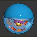 eukaryotic cell cross section cell structure cell tissue anatomy organ human organ 3d model
