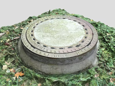 Circular Manhole Cover With Metal Frame In Outdoor Grass And Fallen Leaves Scene 3d model