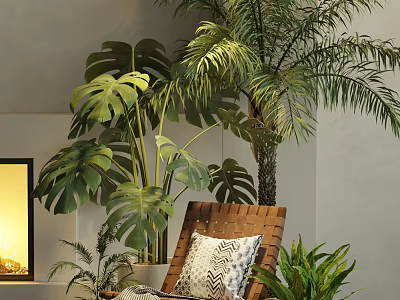 Indoor Bonsai Potted Plant Decor With Monstera Palm Natural Light Wicker Chair And Throw Pillow 3d model