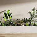 Bonsai Potted Plants in a Long Modern Planter with Various Green Foliage and Succulents