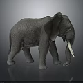 Gray Elephant Model With Ivory Tusks And Skin Texture On Dark Background