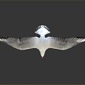 Modern Seagull Cartoon Seagull 3d model