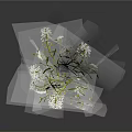 Herb Plant With White Flowers And Green Leaves On Dark Background With Reflection