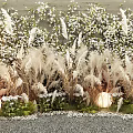 Outdoor Plant Combination With Pampas Grass White Flowering Plants And Decorative Lights