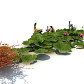 Lush Aquatic Plants Scene With Green Lotus Leaves Pink Flowers And Orange Foliage