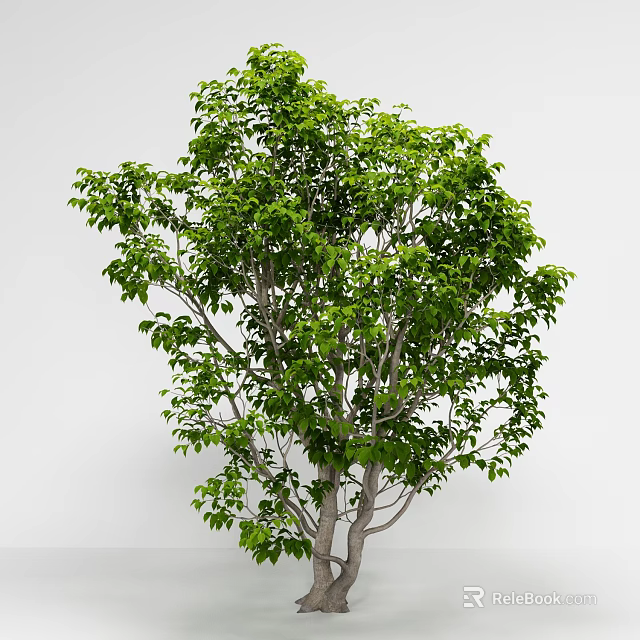 Arbor With Lush Green Leaves Sturdy Trunk And Vibrant Foliage 3d model 