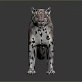 Snow Leopard Model with Spotted White and Black Fur in Standing Pose 3d model