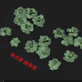 Fresh Green Broccoli Vegetables Arranged in Display for Retail Market Sale