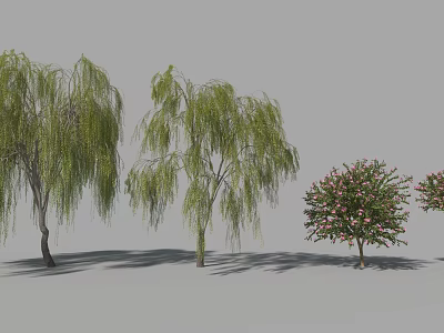Weeping Willow Trees And Flowering Arbor With Pink Blossoms In Garden Landscape 3d model
