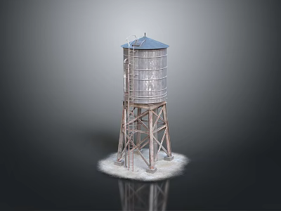 Tall Metal Water Tower With Ladder And Support Legs On Reflective Base 3d model