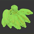 Fresh Green Banana Bunch with Natural Brown Tips on Dark Background