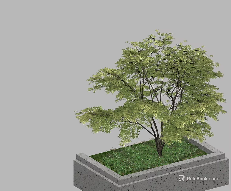 Square Concrete Tree Planter With Lush Green Leaf Tree And Grass 3d model 