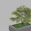 Square Concrete Tree Planter With Lush Green Leaf Tree And Grass 3d model