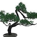 Tree Landscape Tree Pohan Pine 3d model