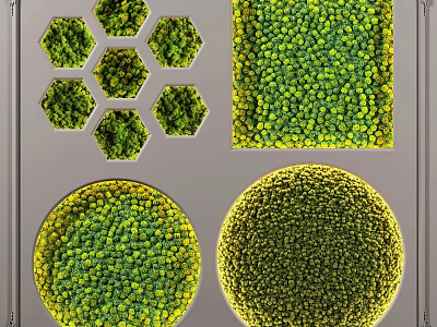 Creative Living Plant Wall Design With Hexagonal And Circular Greenery Patterns 3d model