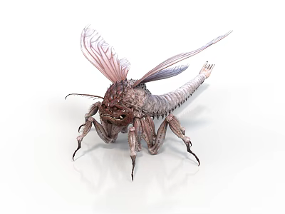 3D Rendered Fantasy Insect With Transparent Wings And Long Slender Legs On White Background 3d model