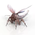 3D Rendered Fantasy Insect With Transparent Wings And Long Slender Legs On White Background