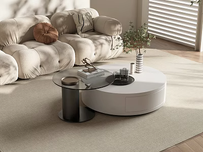 Modern Round White Glass Coffee Table With Sofa Plant Rug And Natural Light 3d model