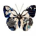 Intricate Butterfly Sculpture with Blue White Patterns and Detailed Wing Designs
