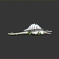 Crocodile Alligator Nile Crocodile carnivore reptile cold-blooded animal reptile reptile 3d model