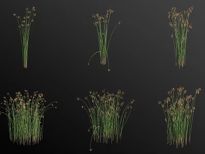 Aquatic Plants With Green Foliage And Different Growth Forms For Water Garden Decoration 3d model