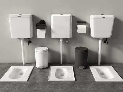 Squat Toilets with Wall Mounted Water Tanks Toilet Paper Holders and Gray White Trash Bins 3d model
