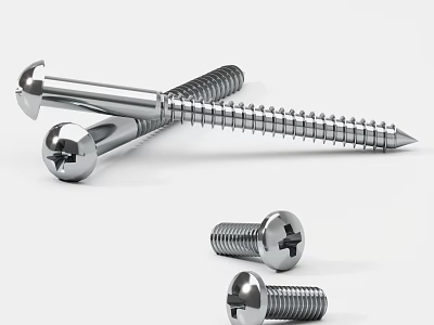 Premium Stainless Steel Hardware Screws with Phillips Head and Various Lengths for Construction 3d model