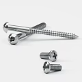 Phillips Screw Screw Screw Combination Various Screws Hardware Nut Bolt 3d model