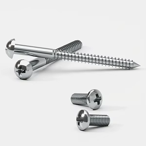 Phillips Screw Combination Various Screws Hardware Nut Bolt 3d model