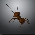 Brown Origami Ant Model With Long Antennae Large Eyes And Six Legs On Dark Background