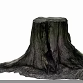 Natural Wooden Tree Stump With Rough Texture On Dark Background