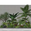 Lush Garden Shrubs With Tropical Palm Tree Banana Leaves Ferns White Rabbit Decor And Stones
