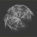 Dandelion Seed Puff Structure Featuring White Fluffy Pappus And Brown Seeds