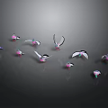 Colorful Birds with Spreading Wings and Resting Positions on Black Background with Reflective Surface