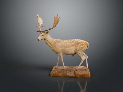 Spotted Deer Taxidermy With Large Antlers On Stone Base Against Dark Background 3d model