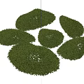 Lush Green Moss Clumps With Natural Shapes And Textured Surfaces For Garden