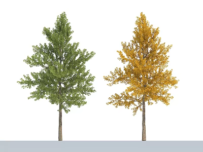 Two Arbor Trees Displaying Green And Yellow Foliage In Seasonal Contrast 3d model