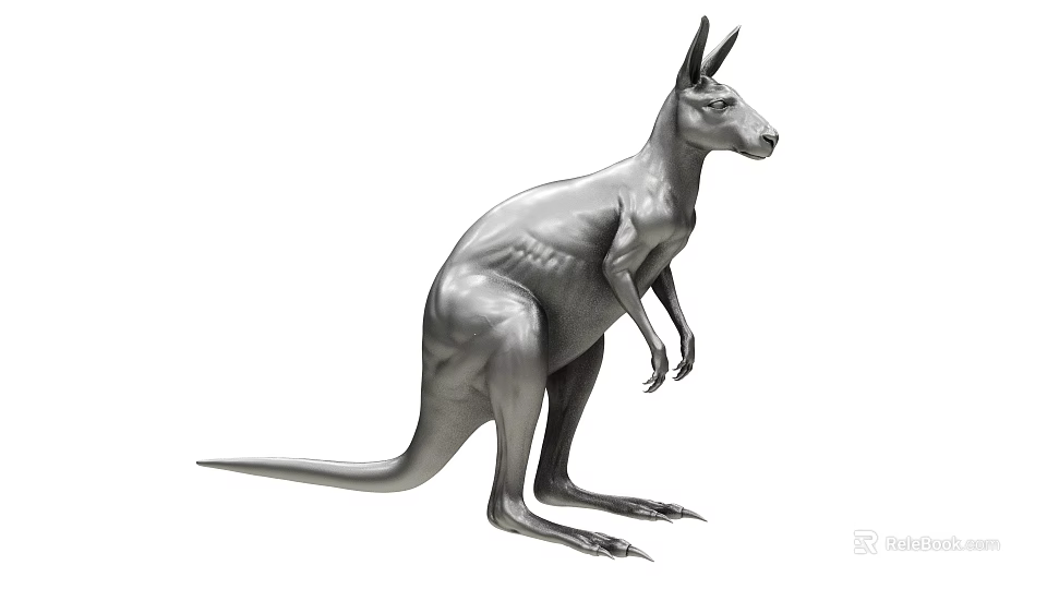 Realistic 3D Gray Kangaroo Model In Standing Pose With Detailed Features 3d model 