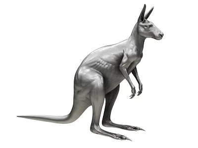 Realistic 3D Gray Kangaroo Model In Standing Pose With Detailed Features 3d model