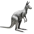 Realistic 3D Gray Kangaroo Model In Standing Pose With Detailed Features 3d model