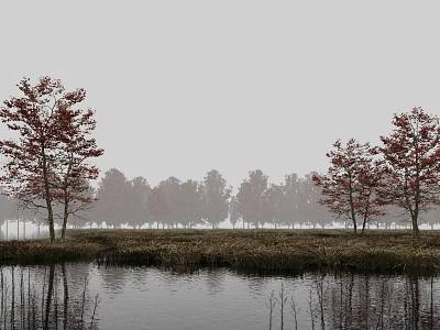 autumn water side plants withered grass dead branches 3d model